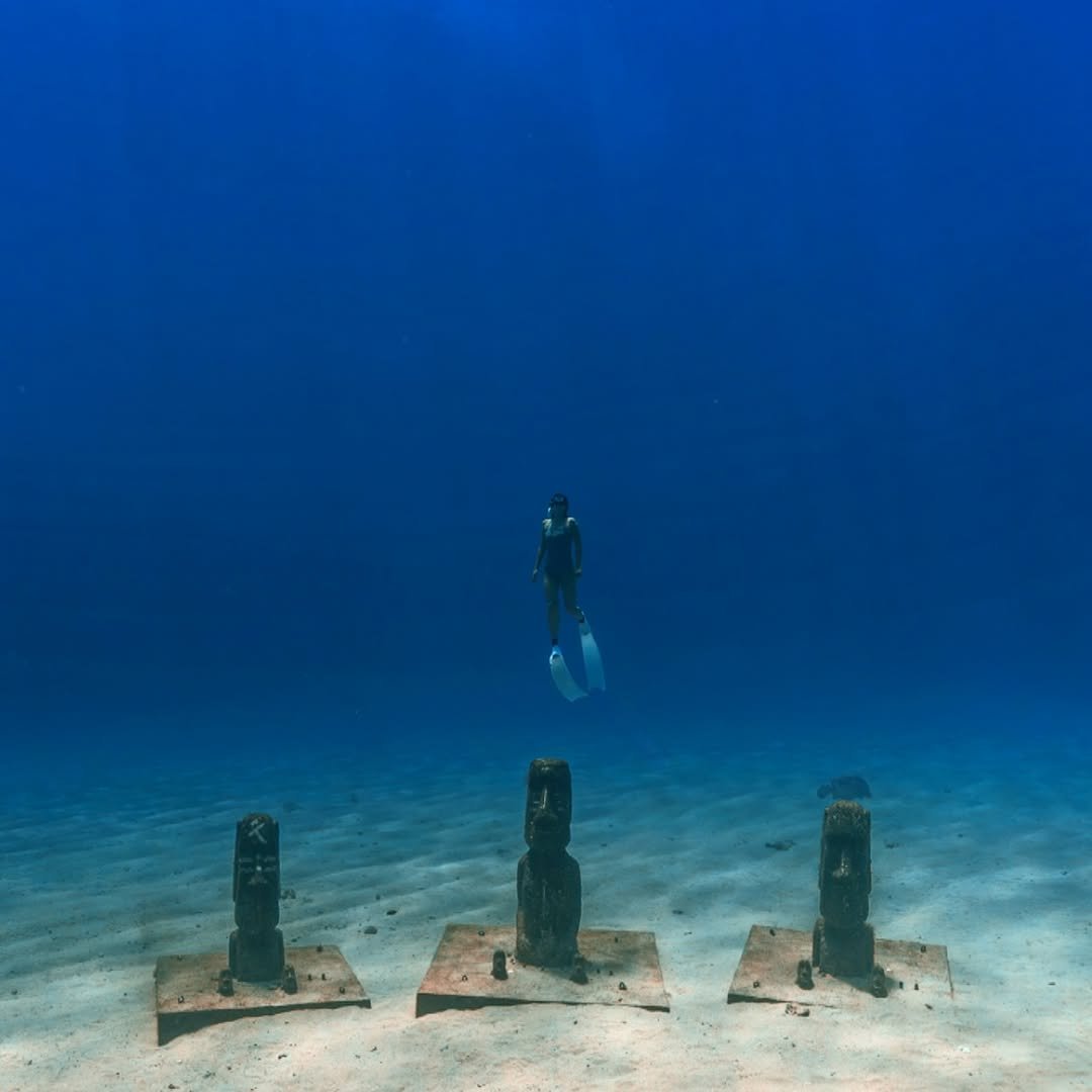 Photo by 프리다이빙 교육/ 제주-서울/ 프리다이빙 대회 in Green Island, Taiwan with @underwatergraphy. May be an image of acquatic animal, snorkel, wetsuit, water and text.