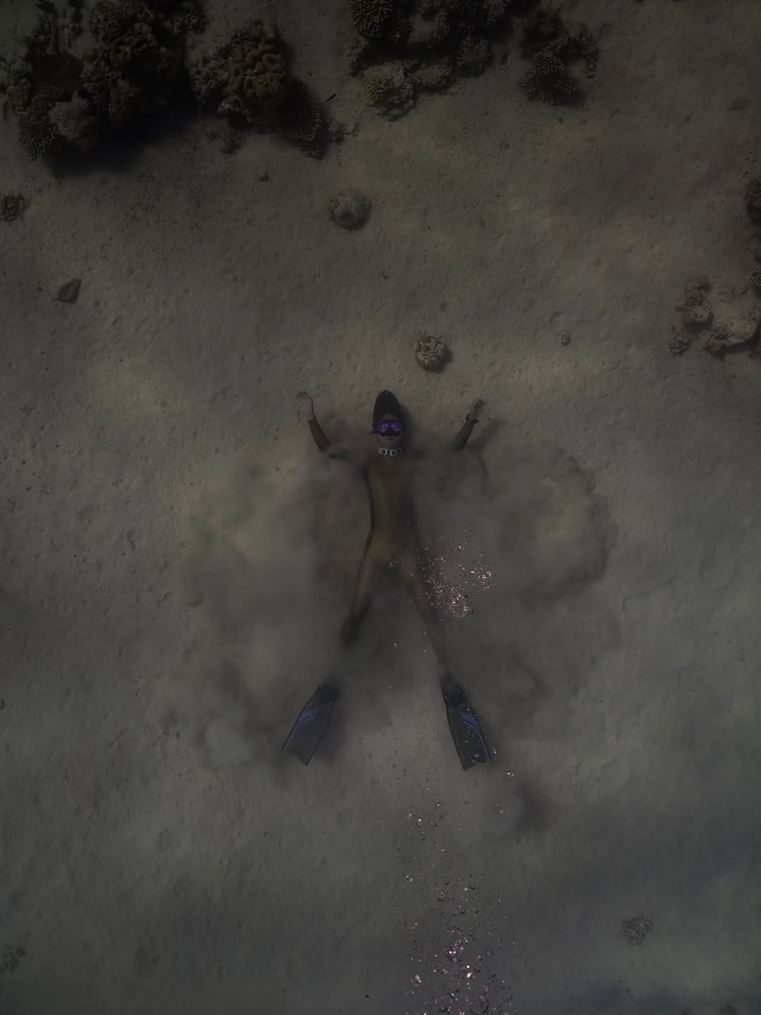 Photo by 웅자 | 프리다이빙 • 강사 • 가끔수의사 in Dahab-دهب with @underwatergraphy, @molchanovsfreediving, and @molchanovs.korea. May be an image of swimming, fish, wetsuit, snorkel and text.