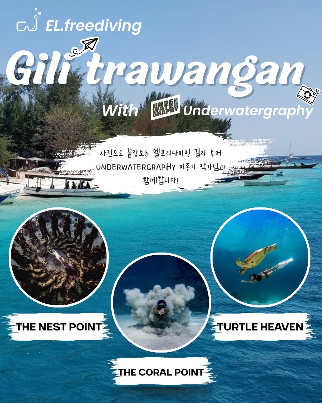 Photo shared by 프리다이빙 강사. 미카엘 on February 06, 2026 tagging @underwatergraphy. May be an image of turtle and text that says 'EN EL.freediving Gili trawangan With 緊小保県限 Underwatergraphy 사진으로 끝장보는 엘프리다이빙 길리 투어 お UNDERWATERGRAPHY 이종기 작가님과 함께합니다! THE NEST THENESTPOINT POINT TURTLEHEAVEN TURTLE HEAVEN THECORALPOINT CORAL POINT'.