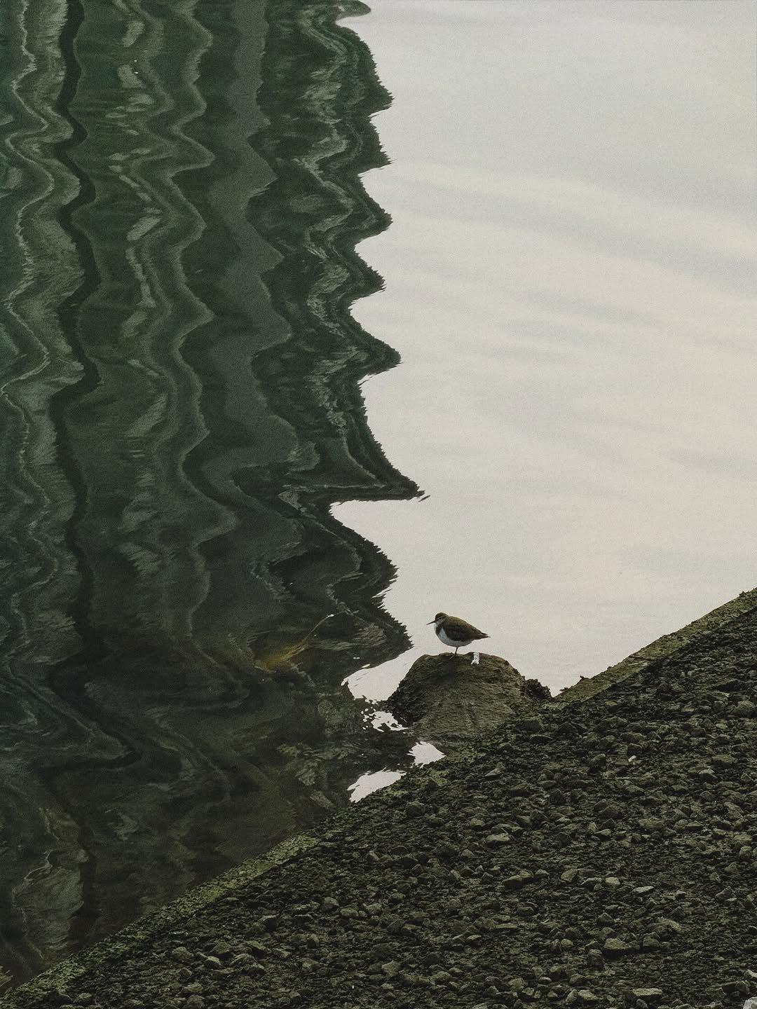 XEXH 게시물 이미지: Reality is just a shared illusion.