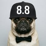 8.8mag 프로필 사진