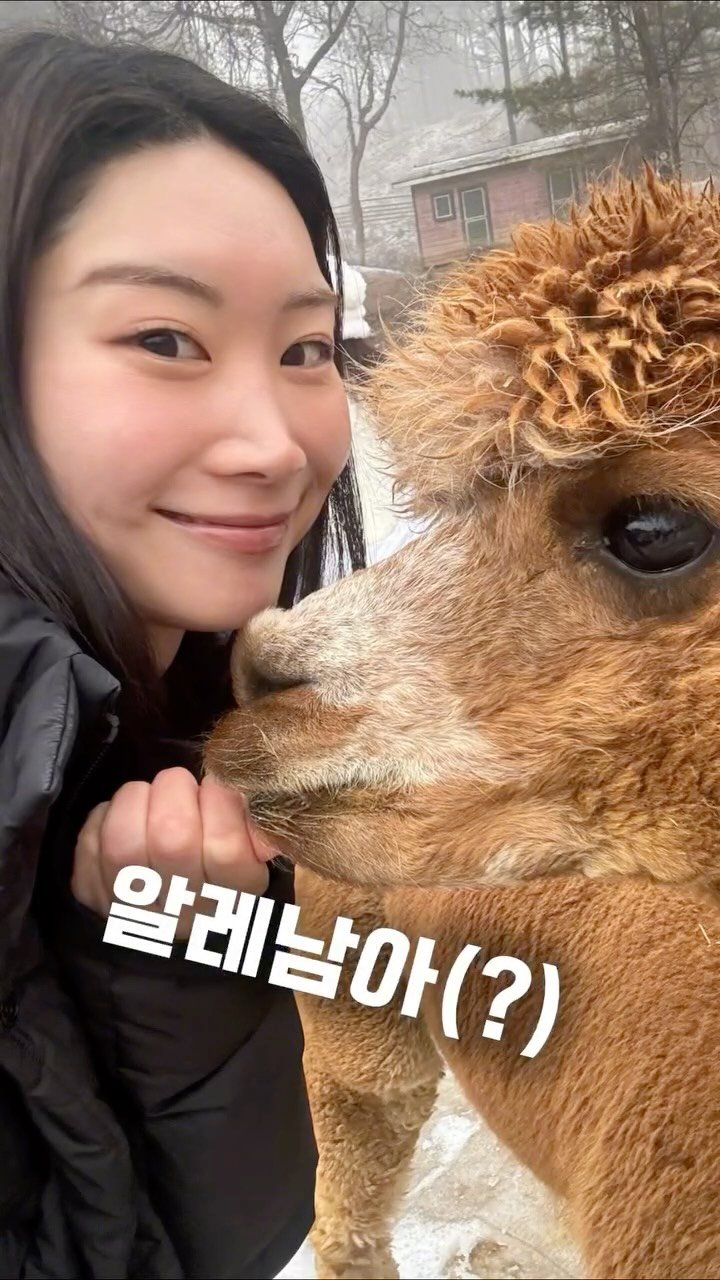 Yaji9696 게시물 이미지: 알레남아가...