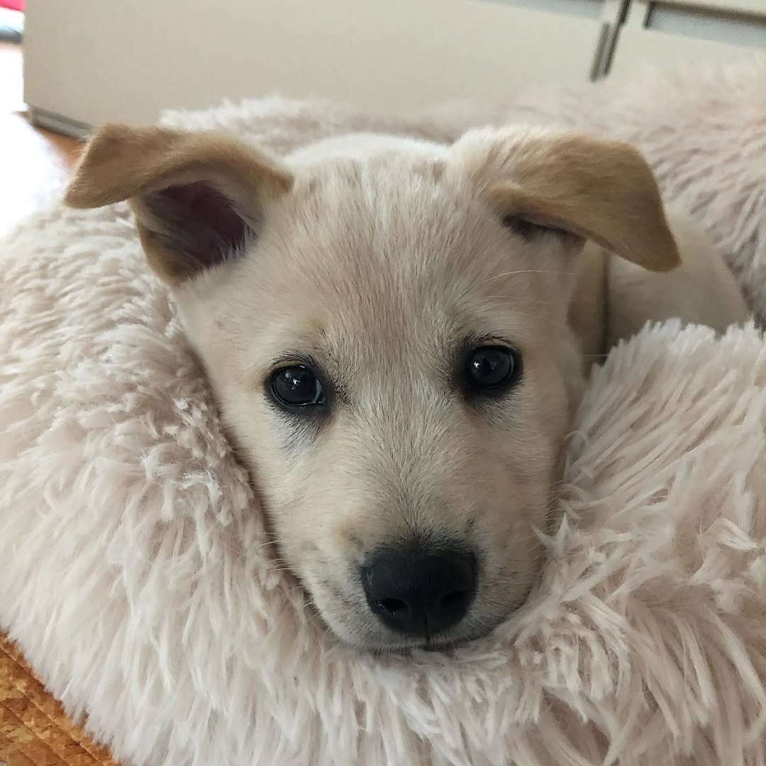 Photo by 웡두 on January 20, 2023.