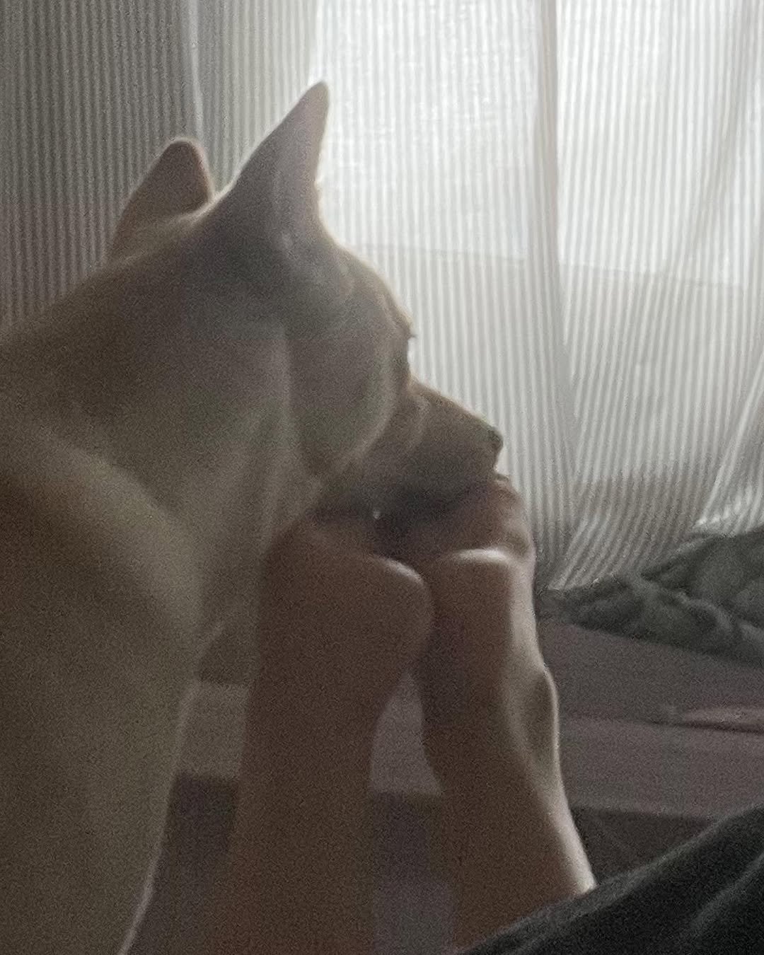 Photo by 웡두 on July 04, 2023.