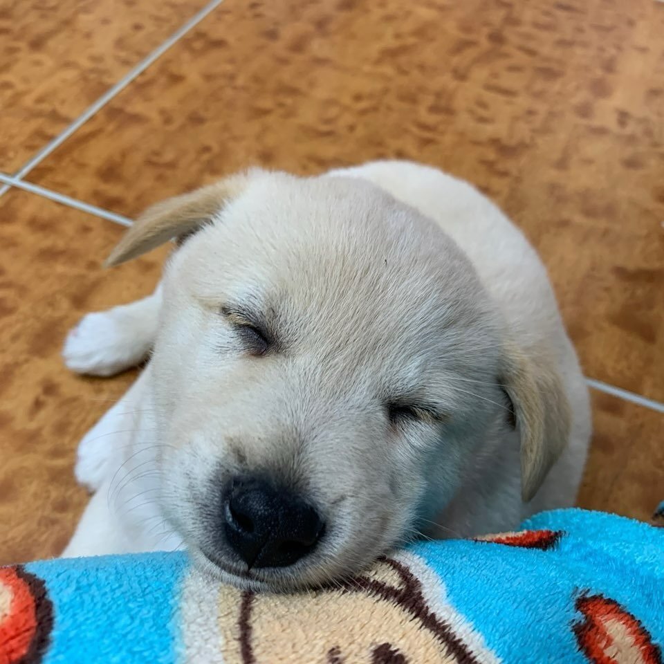 Photo by 웡두 on September 19, 2024.