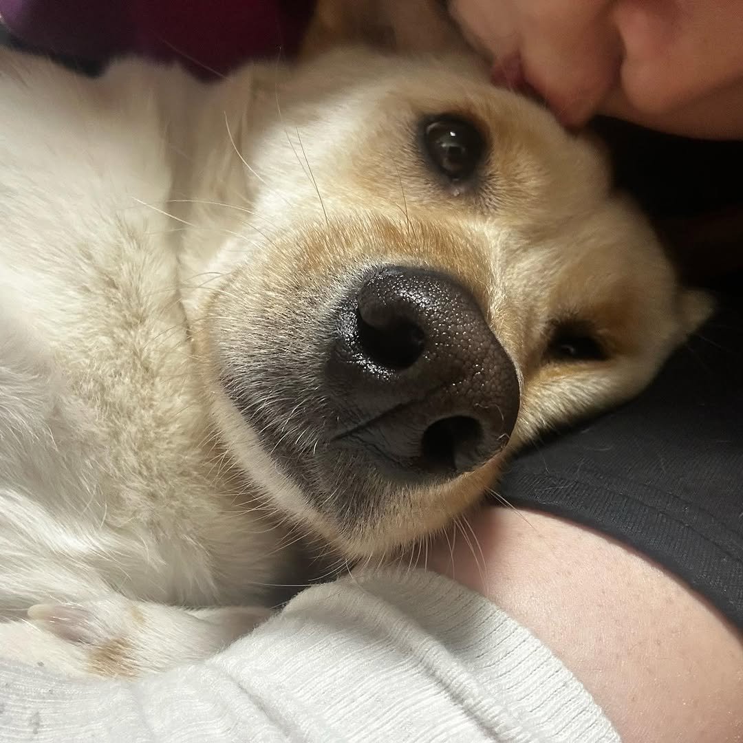 Photo by 웡두 on February 20, 2023.