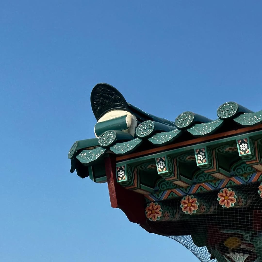 Photo by 웡두 on February 03, 2023.