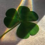 _0hoony 인스타그램 프로필 사진