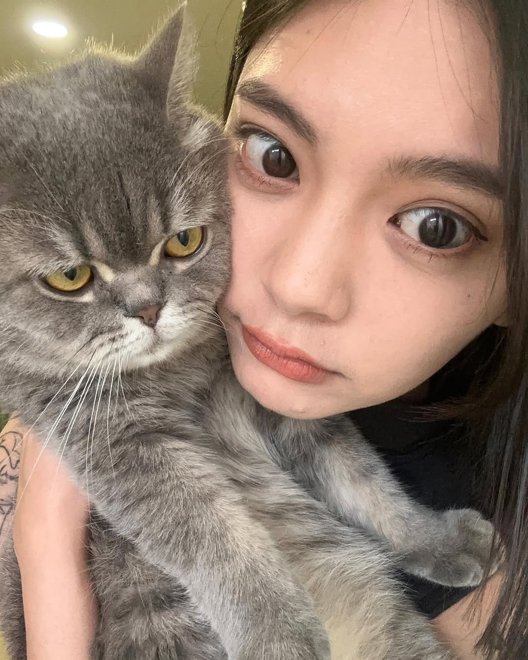 Photo shared by 曾珮晨 on May 30, 2025 tagging @_0508_0805_. May be an image of 1 person and cat.