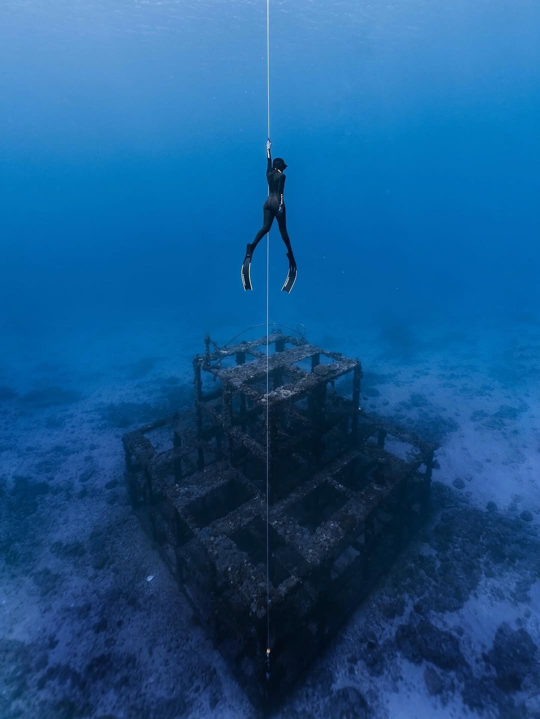 Photo by 曾珮晨 on October 11, 2025. May be an image of swimming, lionfish, wetsuit, snorkel and text.