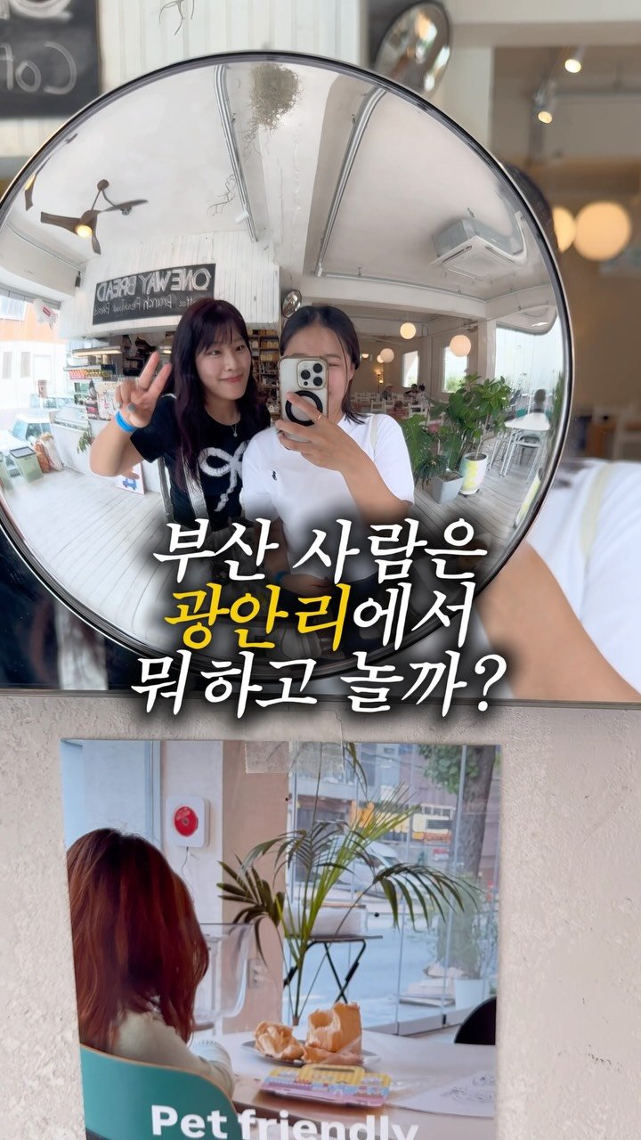 _8.6k__ 게시물 이미지: 부산 사람은 광안리가서 바다는 안 봄 주의(ㅋㅋ)
너~무 더워서 이제 효율적인...