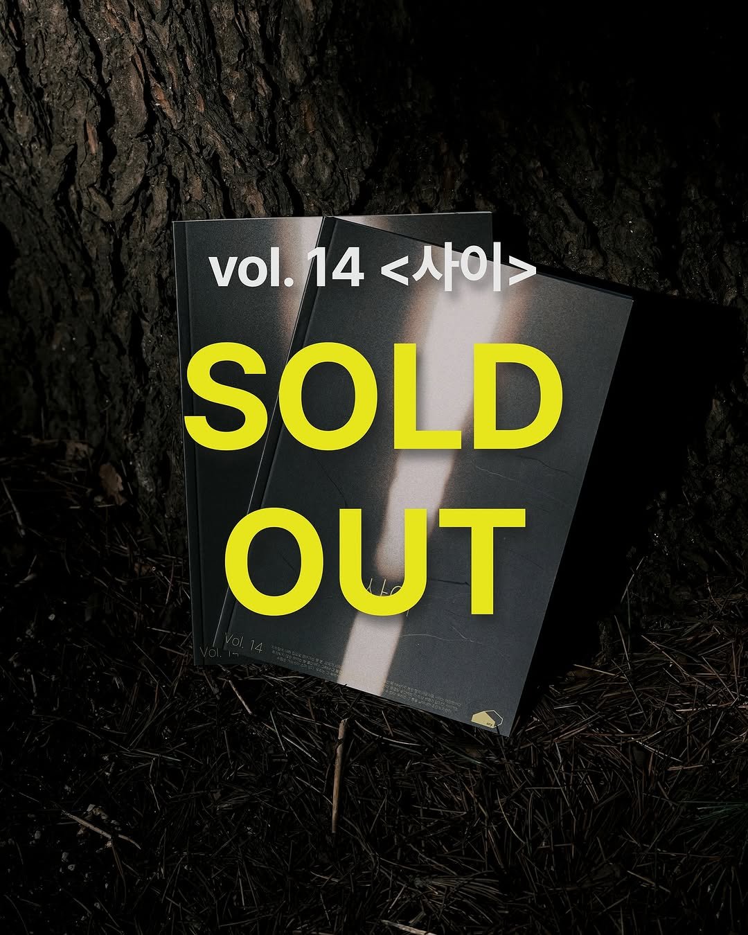 Photo by ORY | 마음의 ( 빈 칸 )을 채워줄 이야기들 on November 14, 2025. May be an image of poster, book and text that says 'vol.14 vol. 14 <사이> SOLD OUT'.