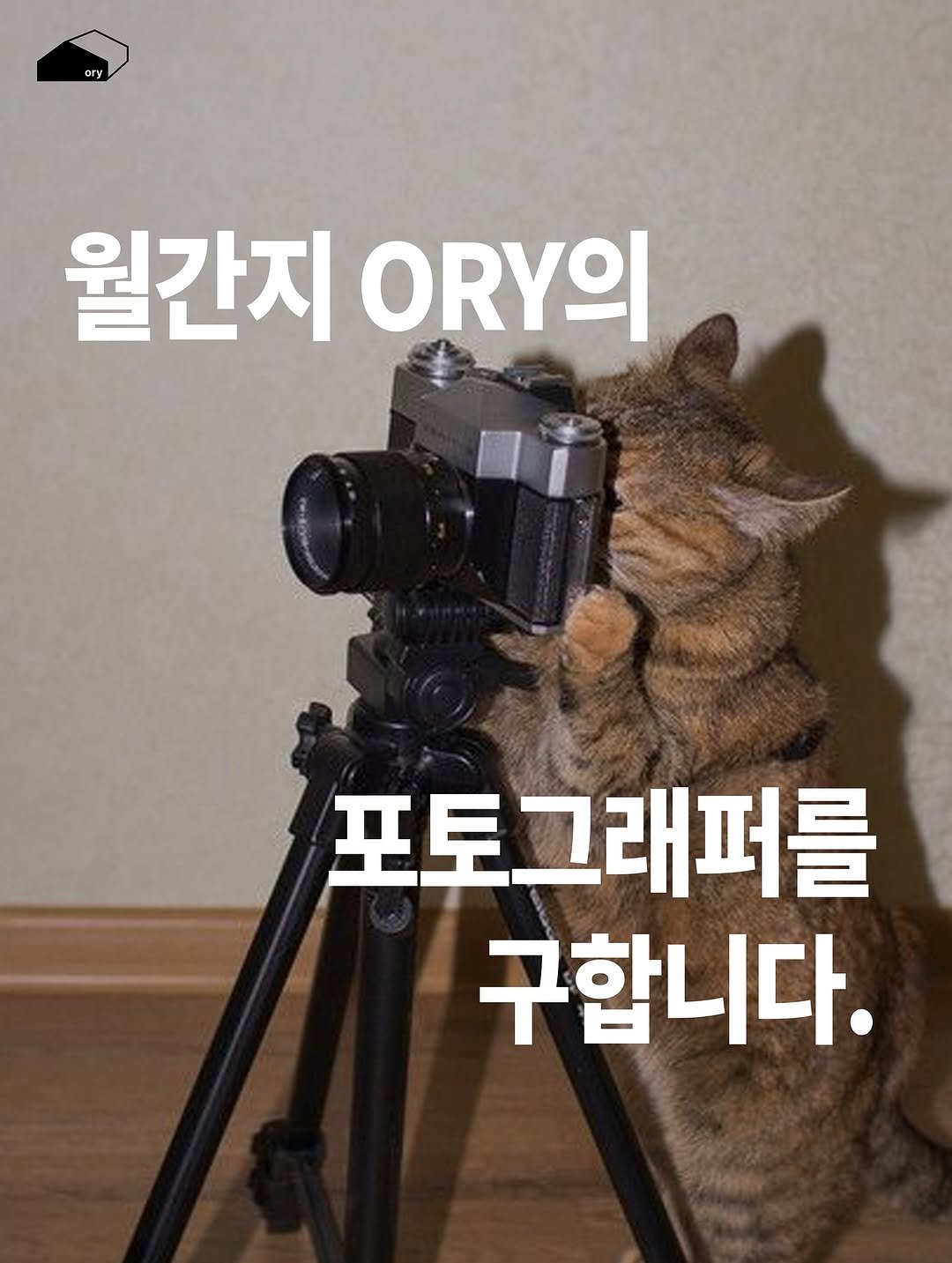Photo by ORY l 월간지 오리 on August 04, 2025. May be an image of text that says 'ory 월간지 포토그래퍼를 구합니다.'.