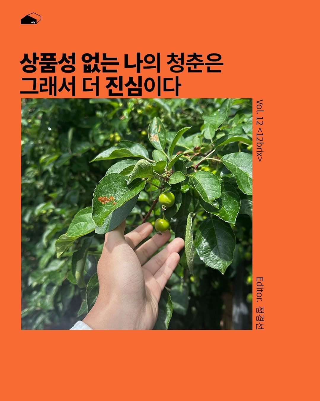 Photo by ORY l 월간지 오리 on August 07, 2025. May be an image of text that says '상품성 없는 없는나의 나의 청춘은 그래서 더 진심이다 Vol.12 VOI Vol.12<12brix> 12 <12brix> Editor dtor.정경선 Editor. 정경선'.