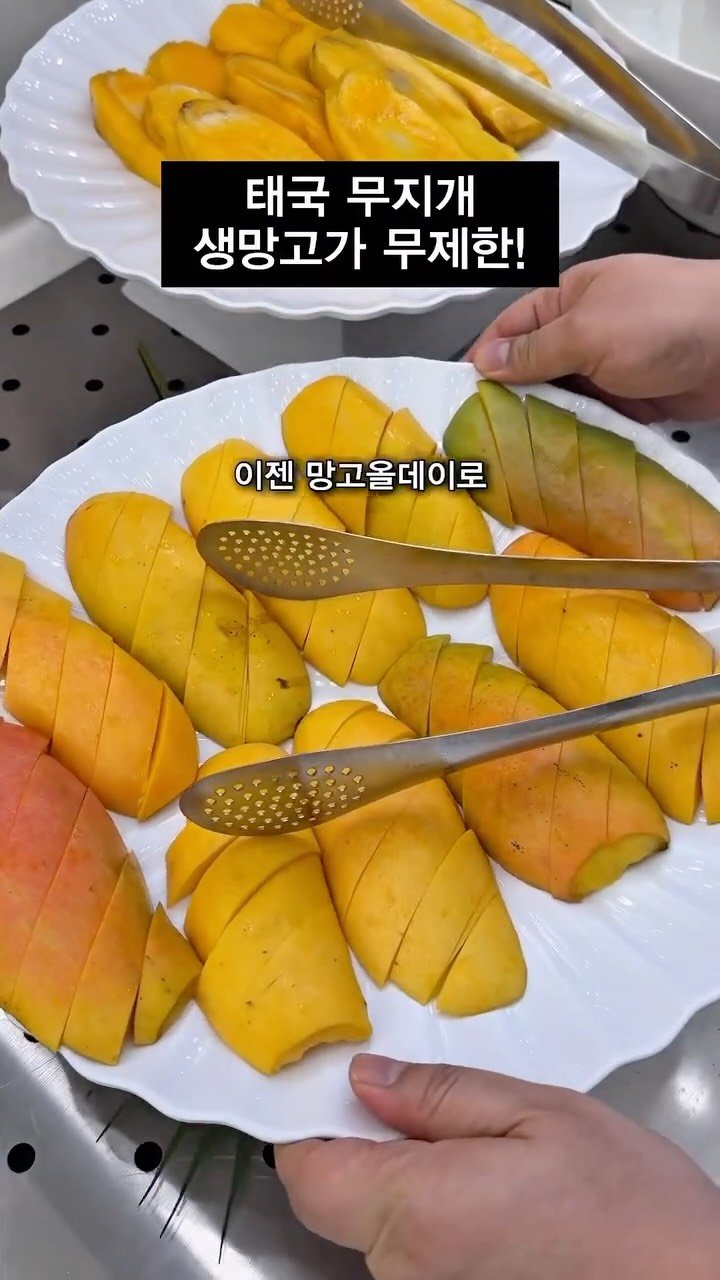 ___foodtour 게시물 이미지: 인생 망고에 미친자들 당장 샤브올데이로 ㄱㄱ!!
샤브올데이에 지금 망고축제...