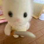 _xsy0_ 프로필 사진