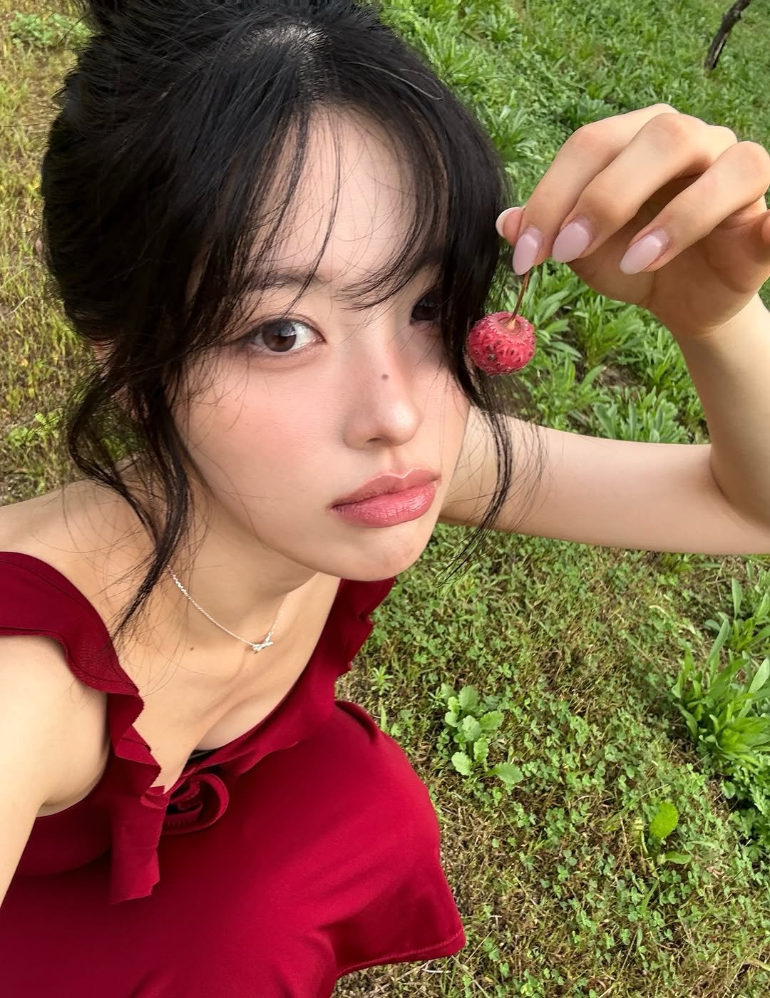 Photo by 내링 ネリン on October 19, 2025. May be an image of globe amaranth.