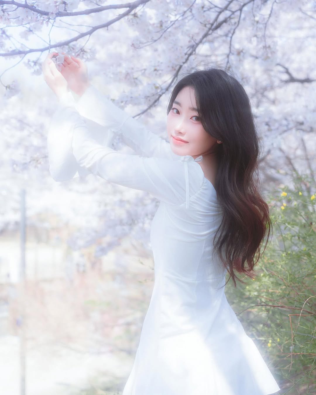 Photo shared by 영은 on April 15, 2025 tagging @gorgeousalice_.