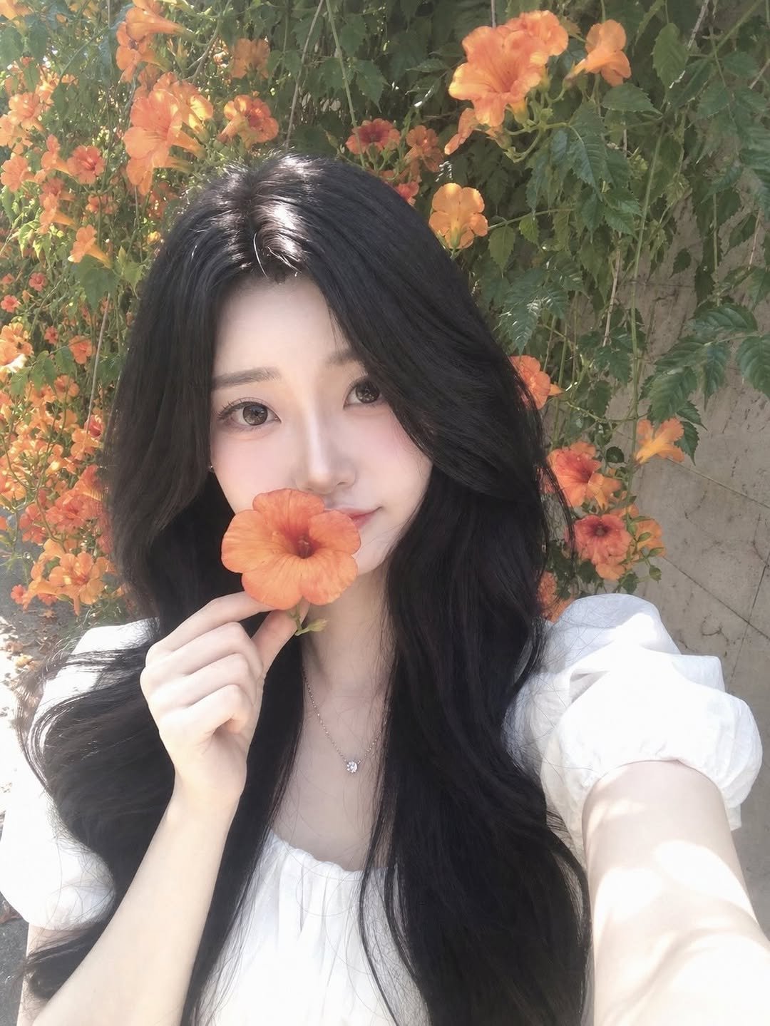 ___yuza 게시물 이미지: 능소화 !!

Ai가 만들어줌요 ㅎㅎ

마지막 헤어핀… 🥹