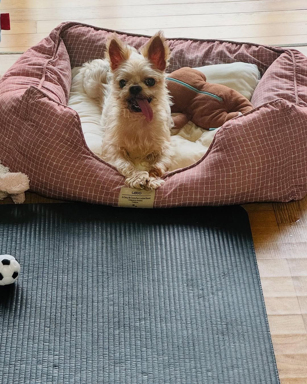 Photo by 준범 on April 22, 2025.