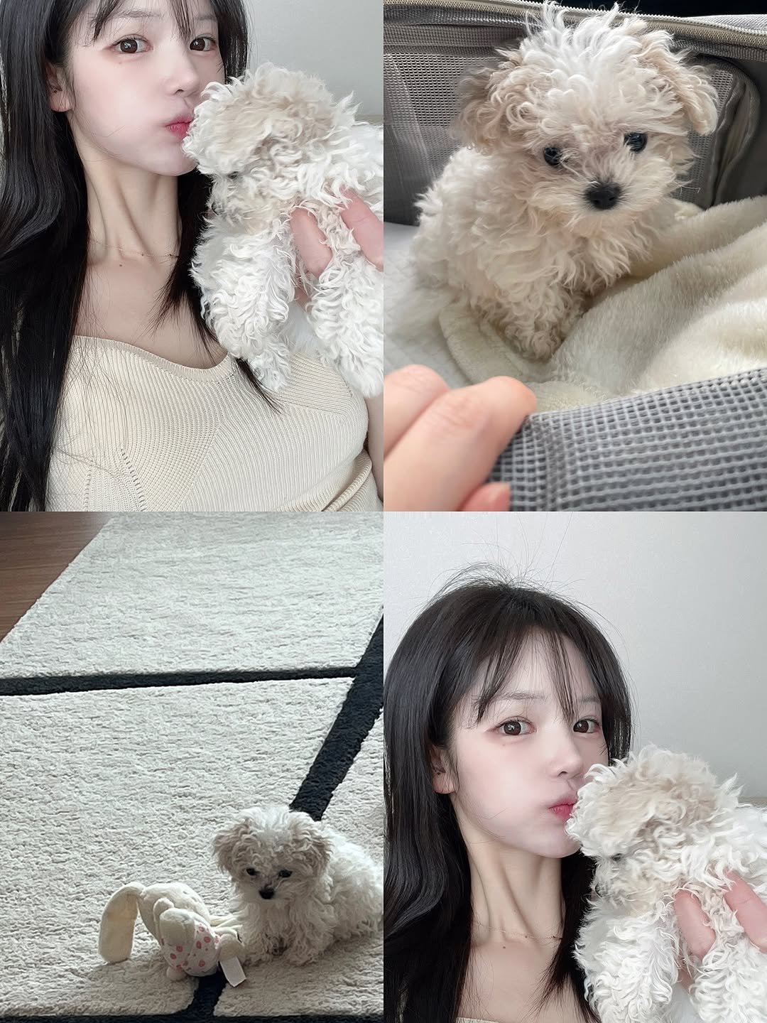 Photo by 오운완 일기🏋🏻‍♀️ on September 28, 2025. May be an image of 2 people, cocker spaniel and text.