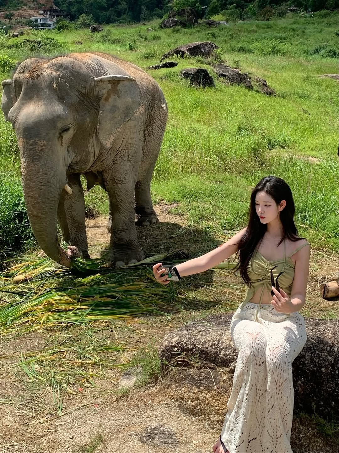 Photo by 오운완 일기🏋🏻‍♀️ on November 17, 2025. May be an image of elephant, outdoors and text.