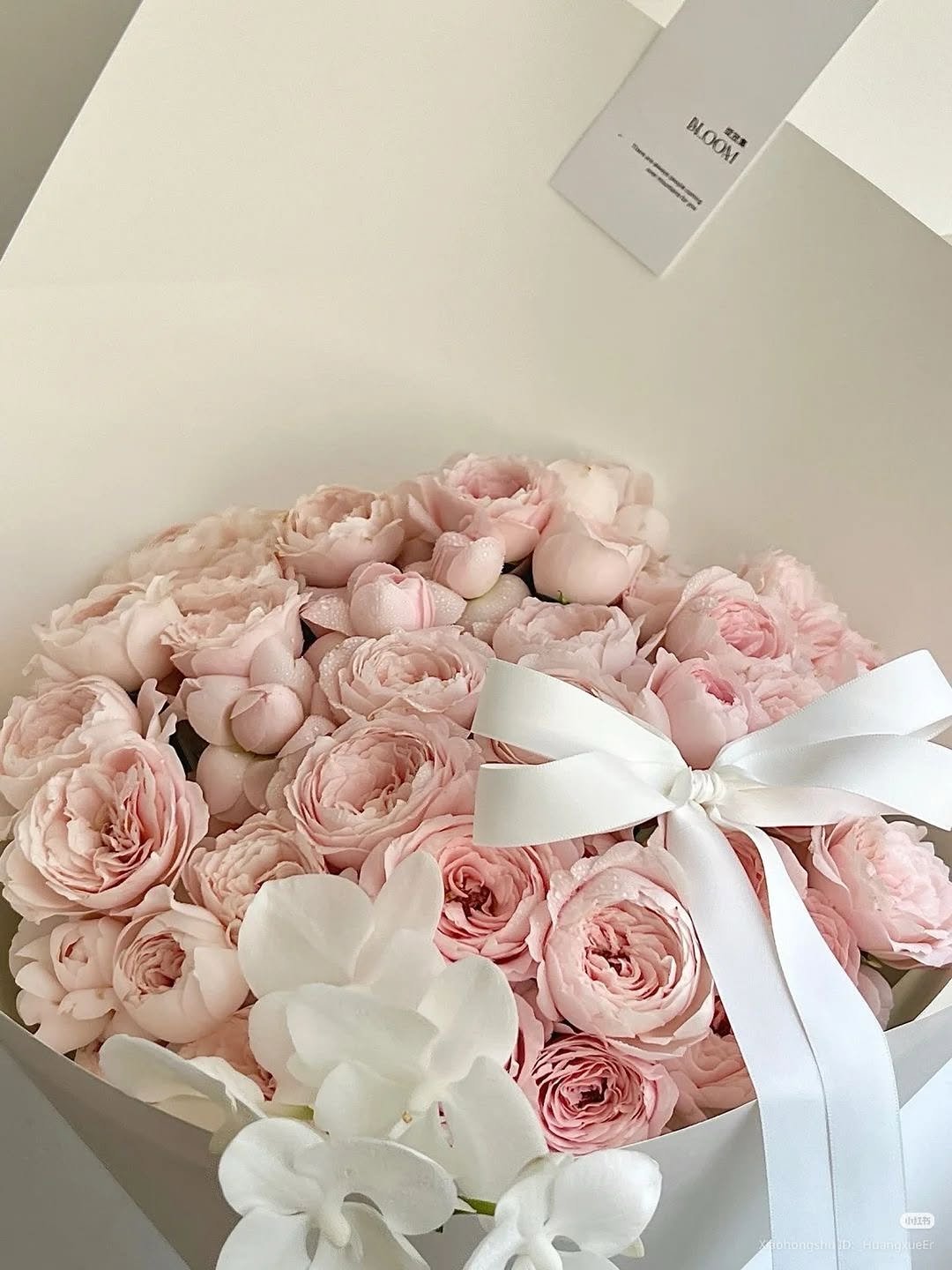 __chanail__ 게시물 이미지: ₊˚ ‿︵‿︵୨୧ · · ♡ · · ୨୧‿︵‿︵ ˚₊

◽️𝐒𝐮𝐰𝐨𝐧 𝐂𝐡𝐚𝐧𝐚𝐢𝐥...