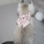 nail_muen 프로필 사진