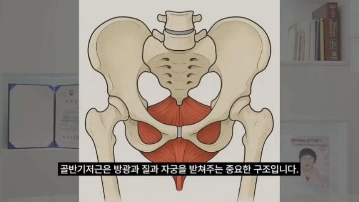 __fitnana 게시물 이미지: 산부인과 31년차 박혜성 원장님이 설명하는 '리텐스2'
들어보세요🫶 진짜  구매인증...
