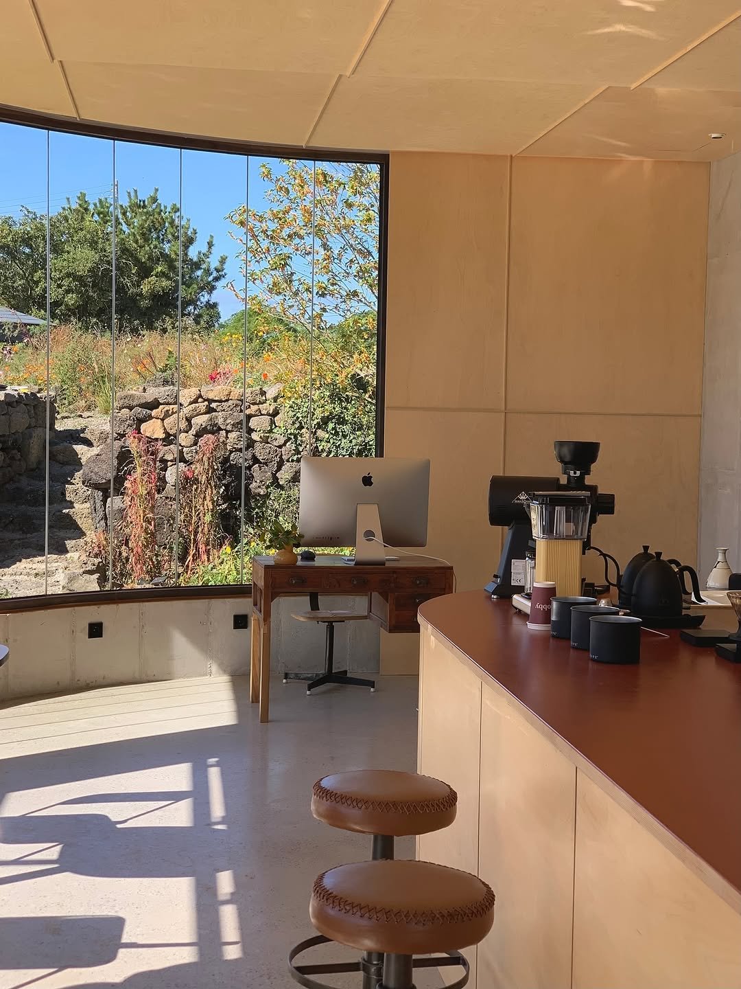 Photo by MIJI on November 05, 2025. May be an image of cornflower and text.