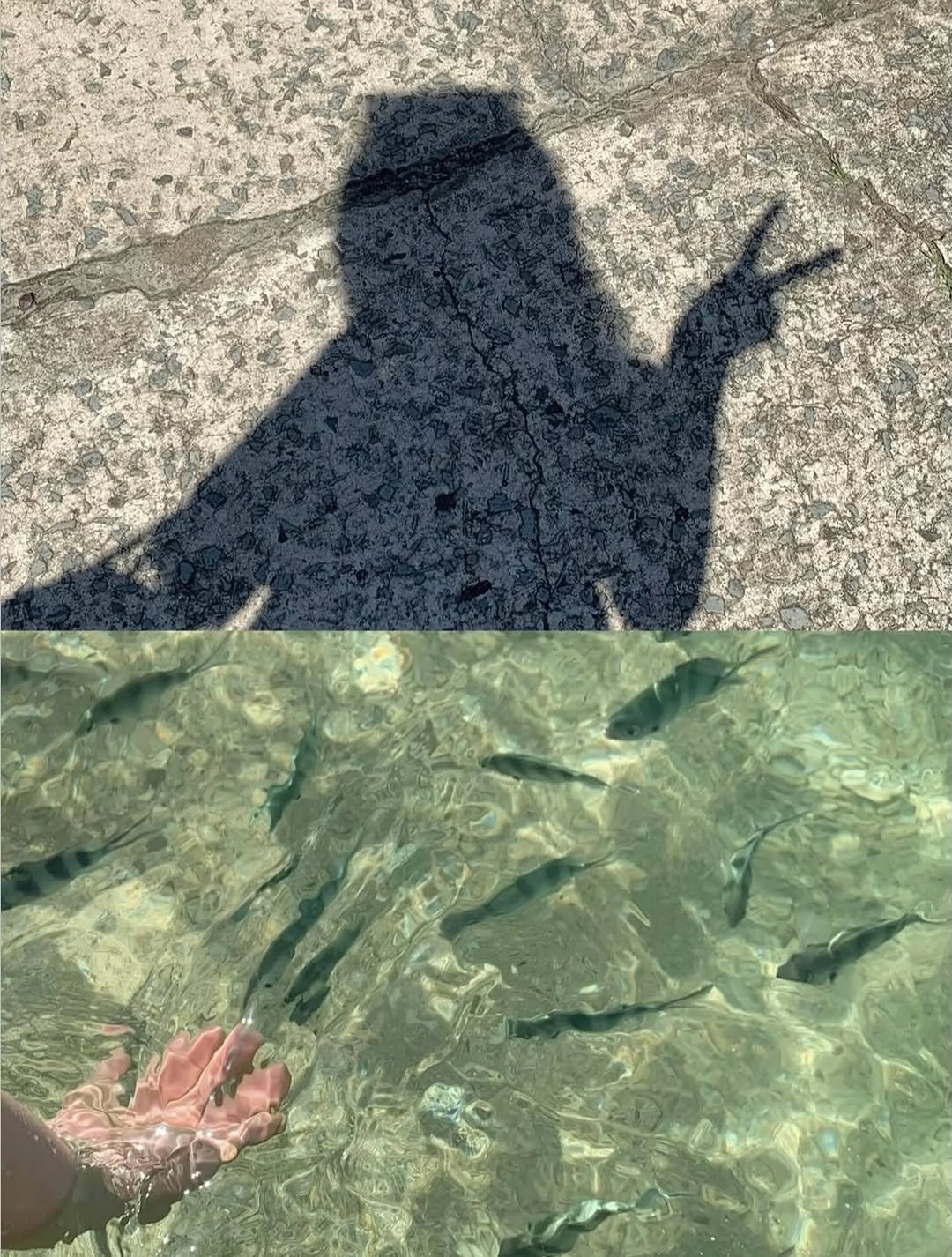 __jue_____ 게시물 이미지: 올해 여름에는 어딜 가게 될까..🤍🫧🌿