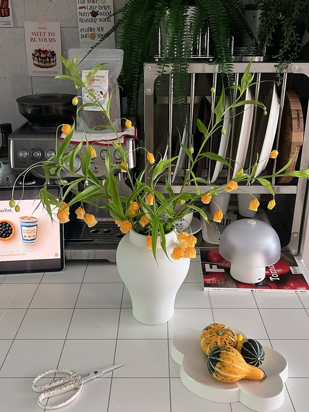 Photo by 미스맘 I 집밥메뉴 제가 대신 고민해 드릴께요👩🏻‍🍳 on August 18, 2025. May be an image of flower arrangement and text.