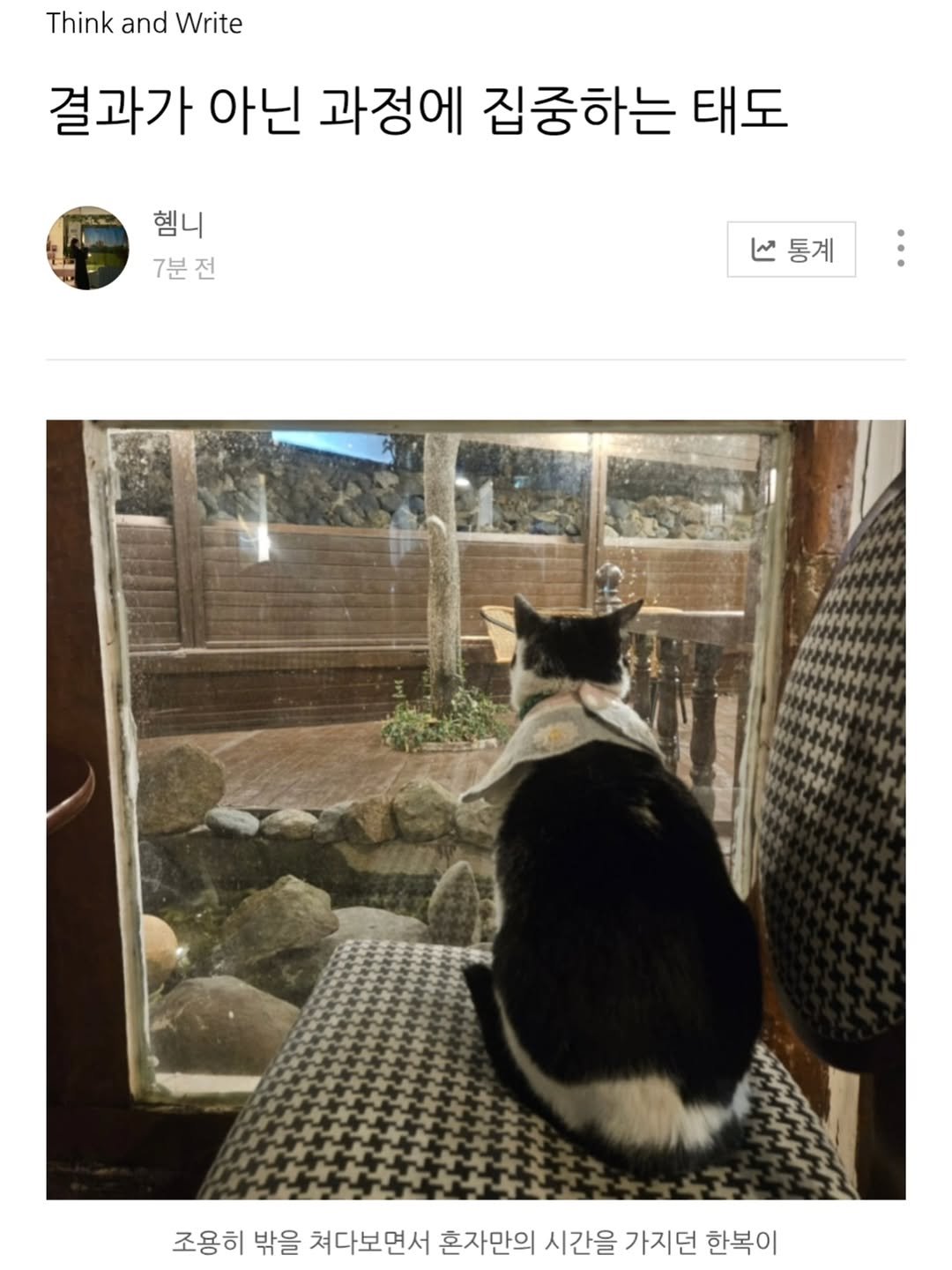 Photo by 지금모혬 | 직장인 • 루틴 • 영어공부 on February 20, 2026. May be an image of kitten and text.