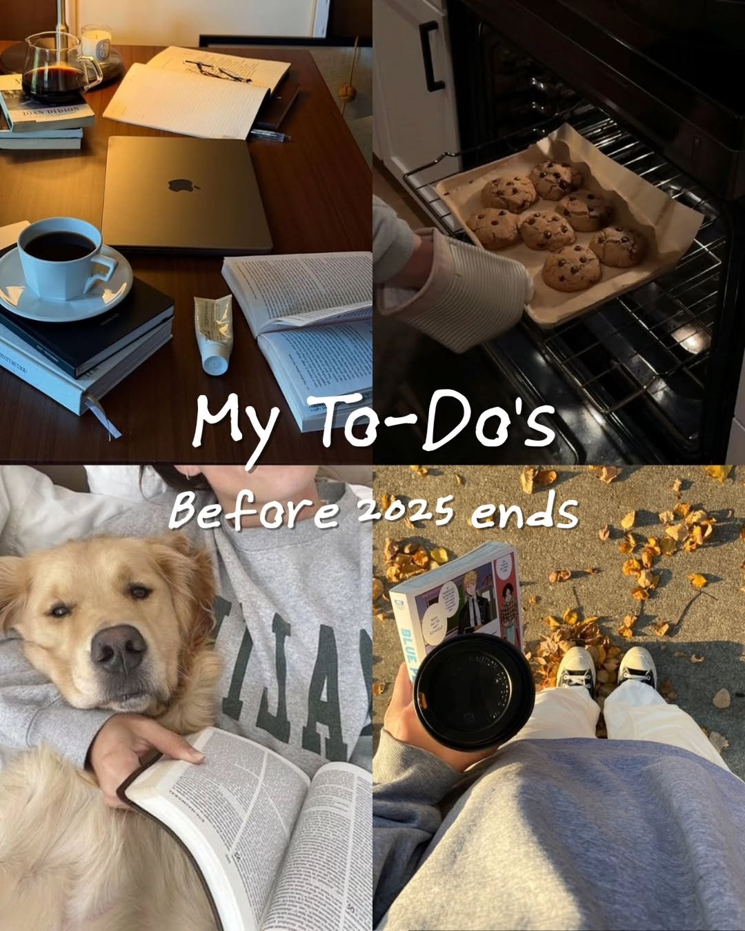 Photo by 지금모혬 | 직장인 • 루틴 • 영어공부 on November 05, 2025. May be an image of golden retriever and text that says 'EN. ES My To-Do's MyTo-Do's To- Before 2025 ends WA!'.