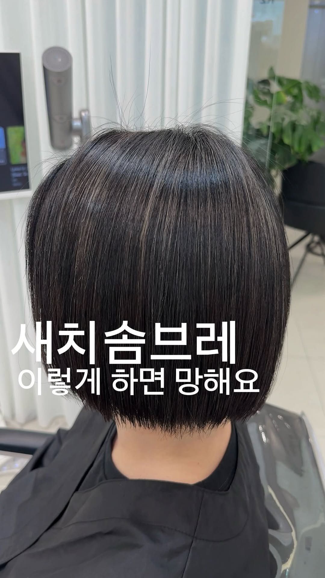 __moonhyewon 게시물 이미지: 새치솜브레는 단순히 밝히는 작업이 아닙니다❌❌

가지고 있는 새치의 위치와 흐름을...