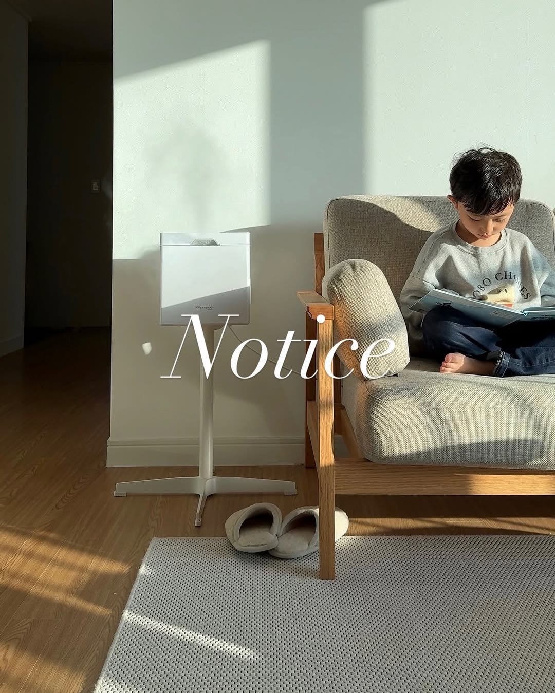 Photo by 심플리홈 on October 28, 2025. May be an image of child, cornflower and text.