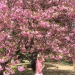 _argong 인스타그램 프로필 사진