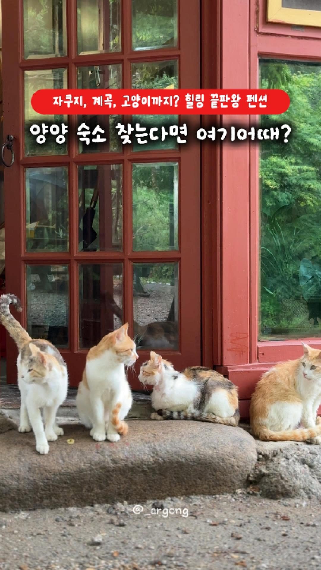 _argong 게시물 이미지: #블로그협찬 ✨ 고양이, 자쿠지, 계곡, 별빛까지?
완벽한 힐링이란 게 있다면,...