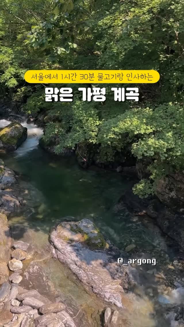 _argong 게시물 이미지: 📍 서울에서 단 1시간 30분!
이끼 ❌, 시야 쨍쨍 👀
물고기랑 인사 가능한 가평...