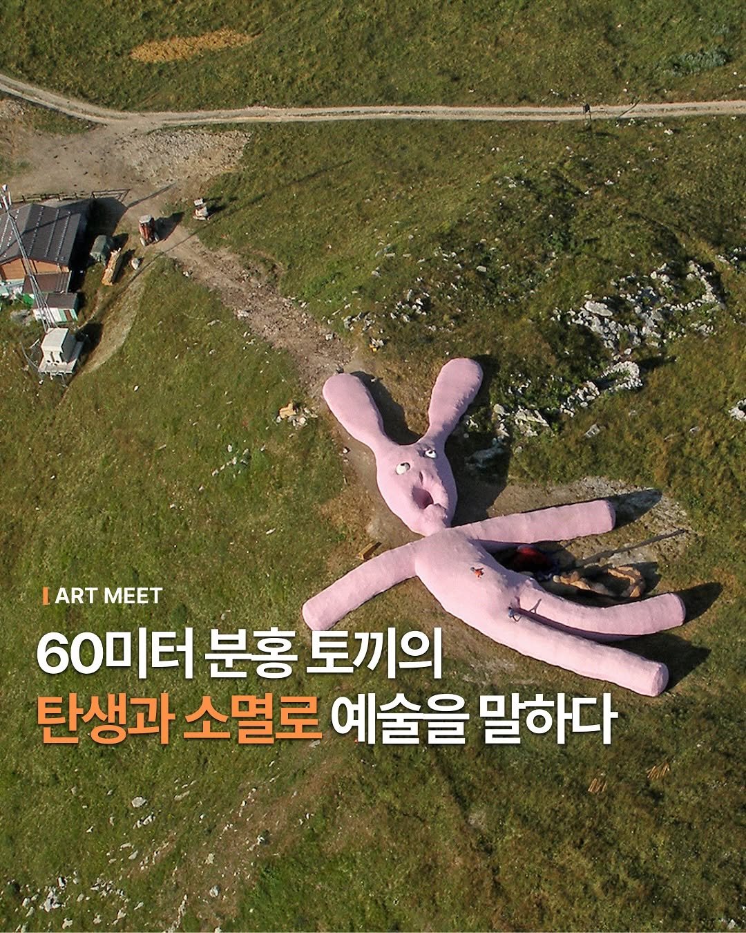 Photo by Art_meet 아트미트 on August 30, 2025. May be an image of 1 person and text that says 'LART LARTMEET MEET 60미터 터 분홍 토끼의 탄생과 소멸로 예술을 말하다'.