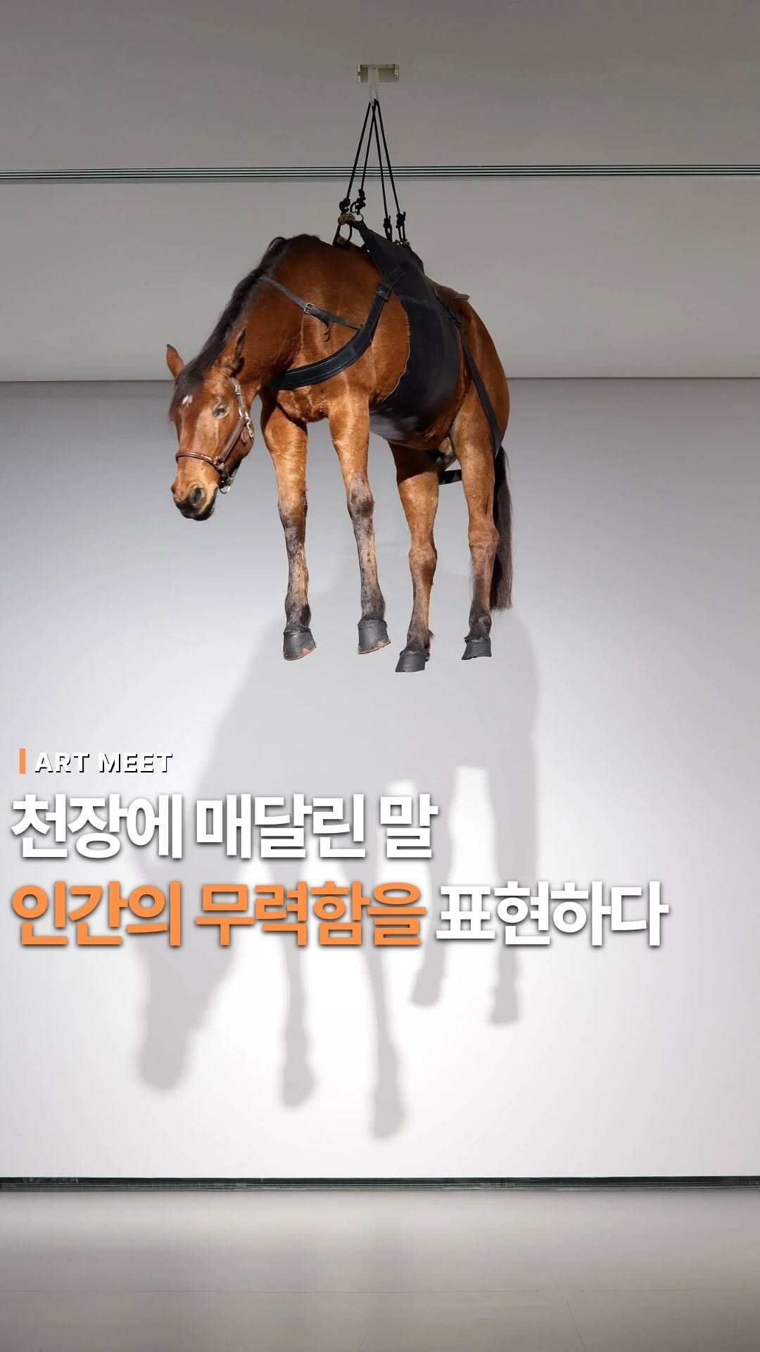 _art_meet 게시물 이미지: 매달린 말들로 인간의 무력감 이상이 좌절된 현실에 대한 깊은 은유를 담고 있는...
