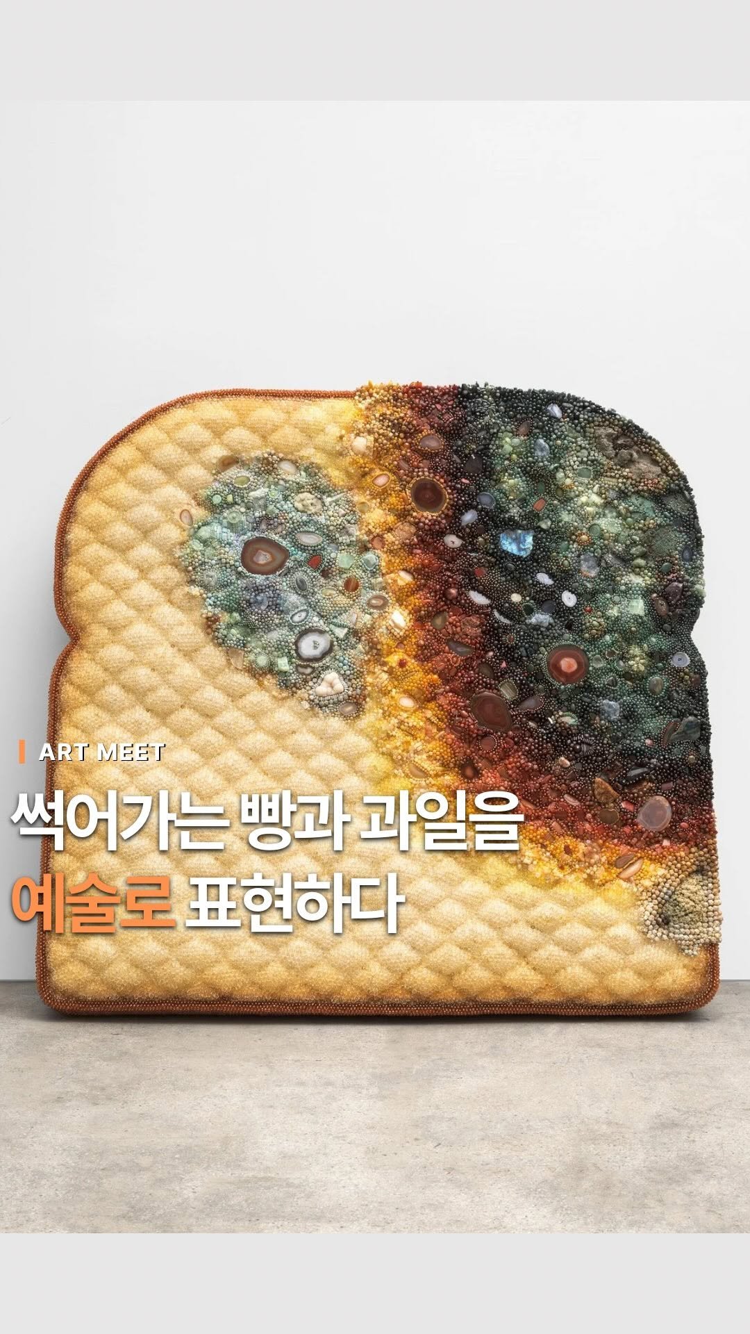 _art_meet 게시물 이미지: 부패와 소멸의 상징인 썩은 과일을 예술로 승화시키며 모든 사물과 생명이 가진...
