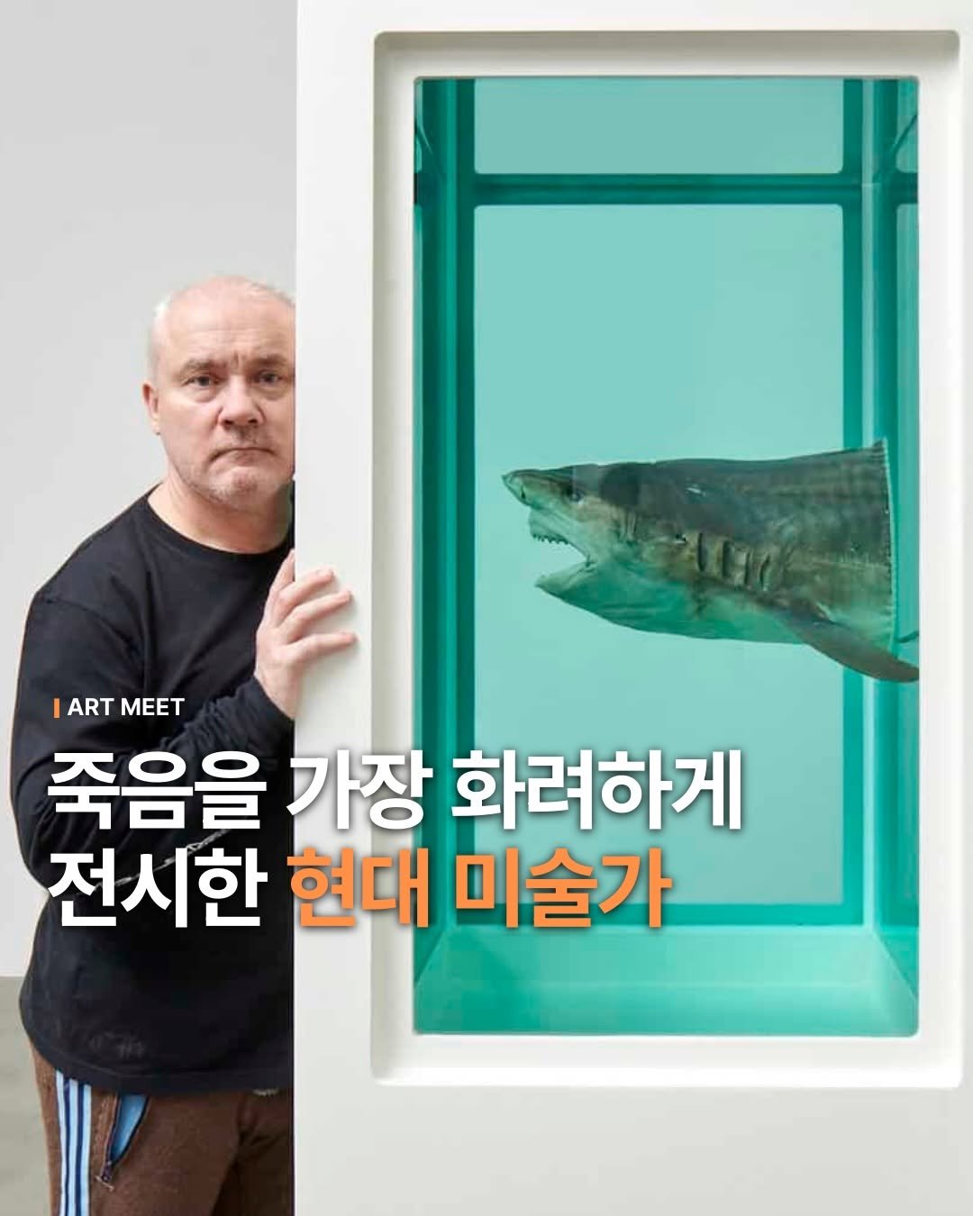 Photo shared by Art_meet 아트미트 on March 07, 2026 tagging @mmcakorea. May be an image of text that says '|ART ARTMEET MEET 죽음을 가장 화려하게 전시한 현대 미술가'.