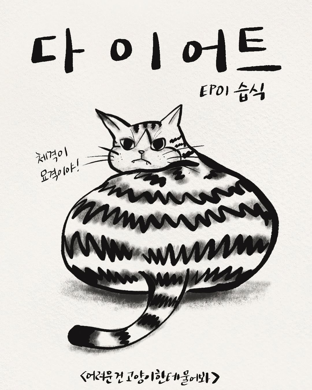 어려운 건 고양이한테 물어봐
뚱냥이 치코의 다이어트 에피소드