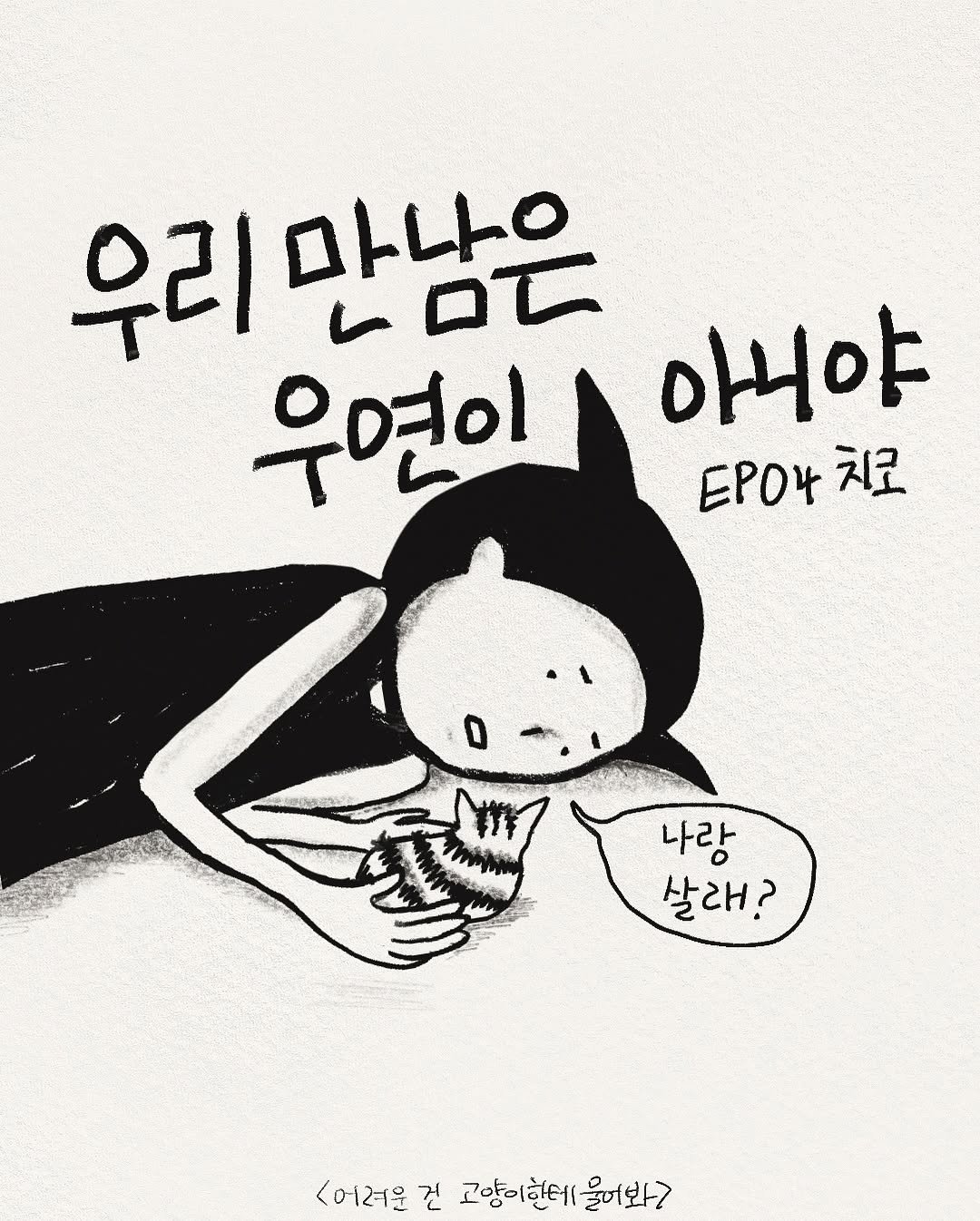 아기 고양이 치코를 입양하기까지의 이야기를 그린 인스타툰
어려운건 고양이한테 물어봐