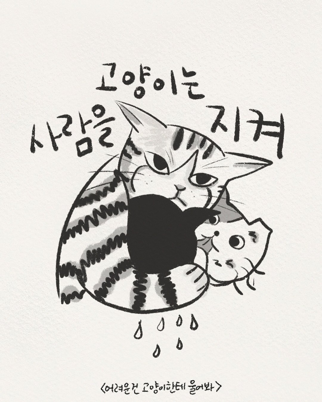 Photo by 어려운건고양이한테물어봐 on December 25, 2024.