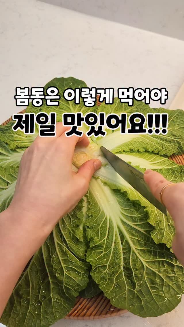 _bab_mukja__ 게시물 이미지: ⬇짧은 영상이라 아래 레시피 적어놨어요💓💓

오늘은 제철식재료인 봄동으로 봄동겉절이...