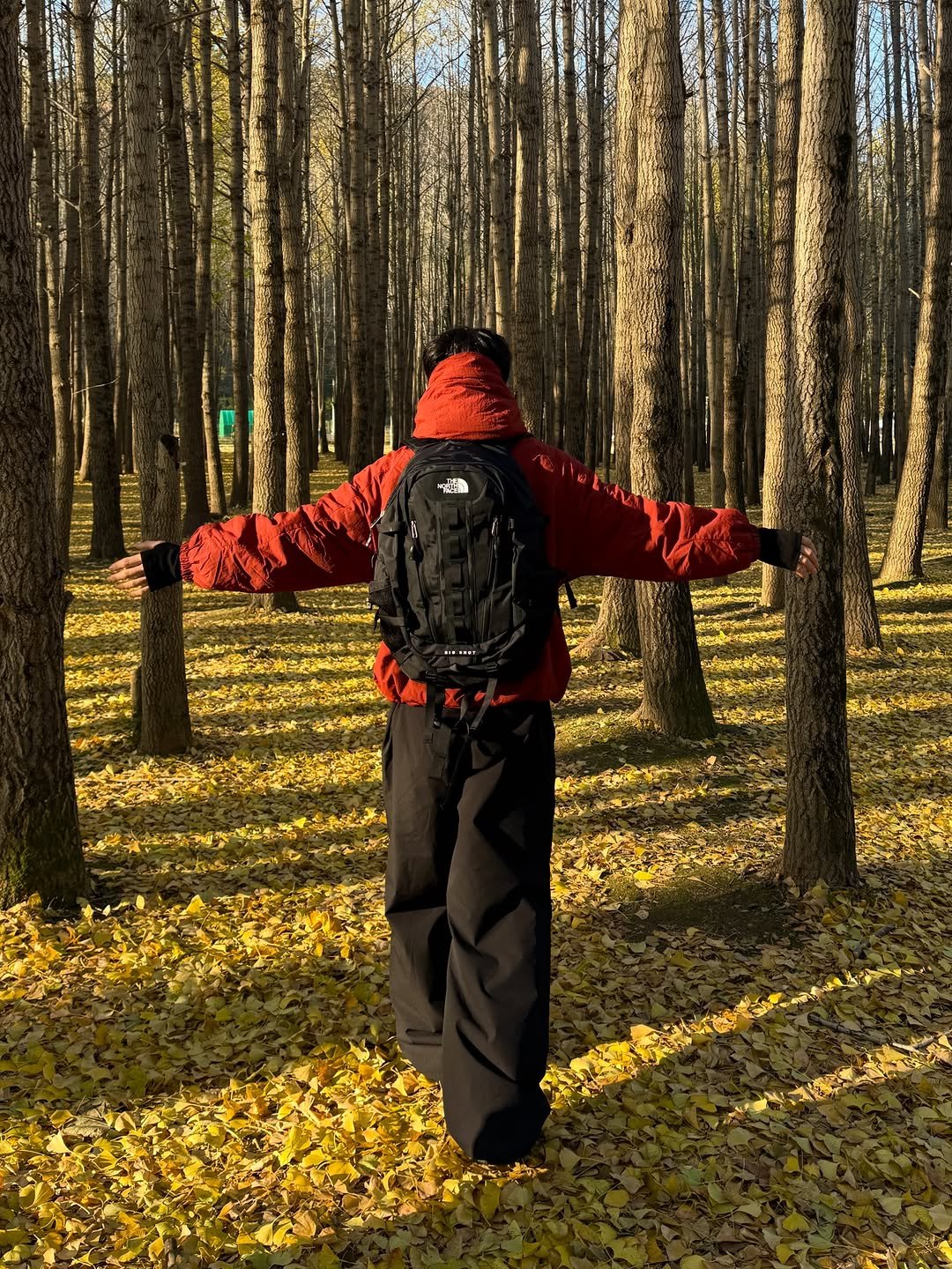 Photo by 김용빈 / 유포어 on November 25, 2025. May be an image of standing, nature and text.