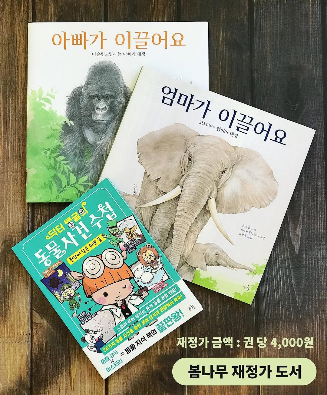 Photo by 봄나무 출판사 on November 02, 2025. May be an image of elephant, book, magazine and text.