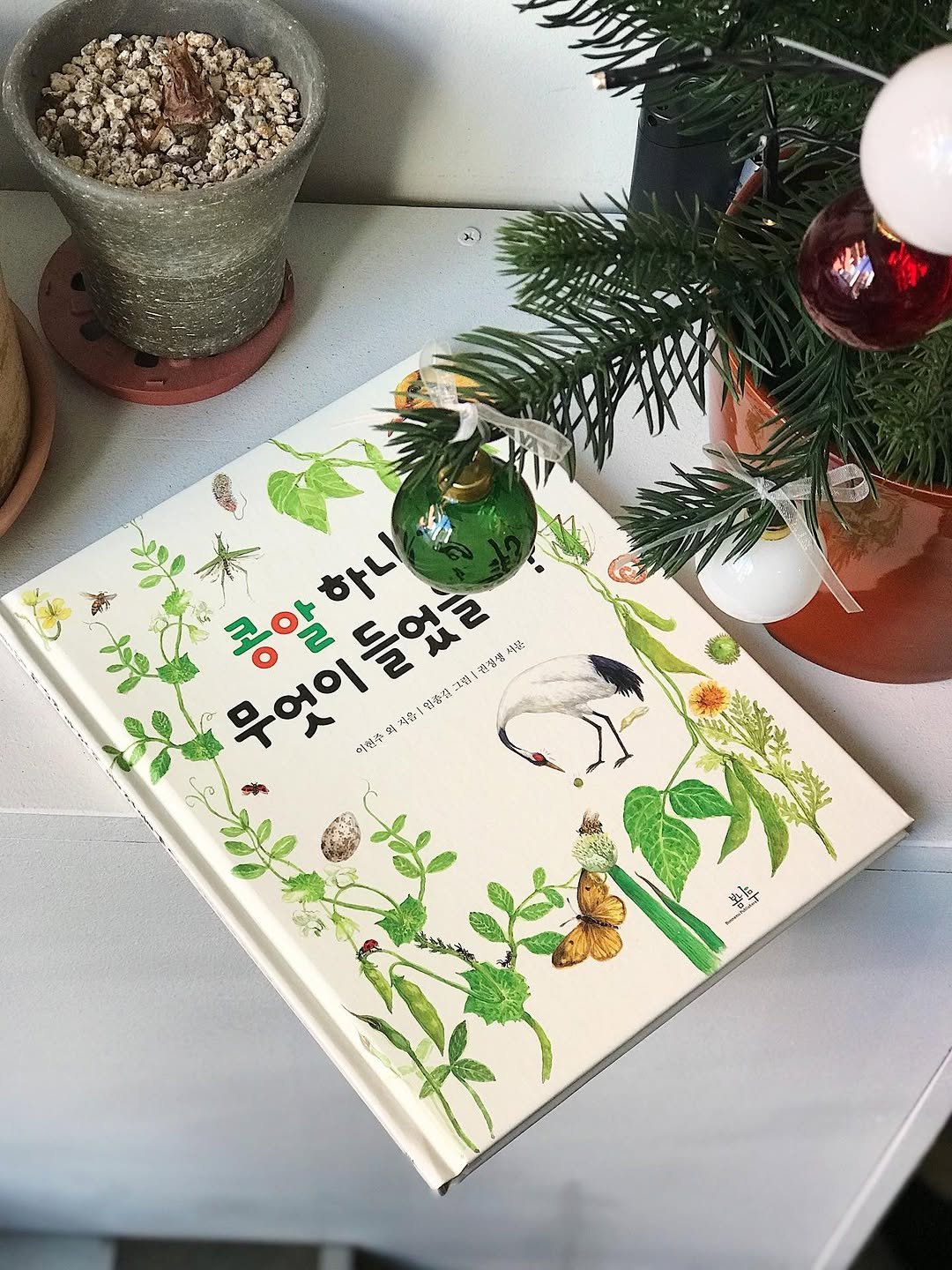 Photo by 봄나무 출판사 on January 07, 2026. May be an image of book and text.